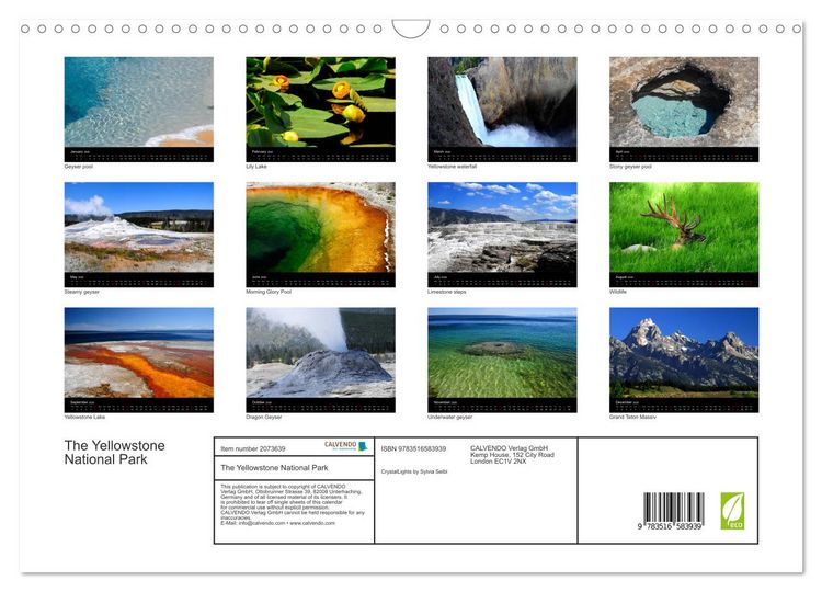 Produktbild: The Yellowstone National Park (Wall Calendar 2026 DIN A3 landscape), CALVENDO 12 Month Wall Calendar