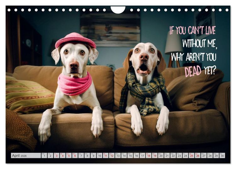 Produktbild: Crazy dogs COOL SAYINGS (Wall Calendar 2026 DIN A4 landscape), CALVENDO 12 Month Wall Calendar