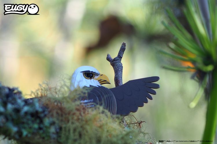 Produktbild: EUGY - 3D Bastelset Weisskopfseeadler