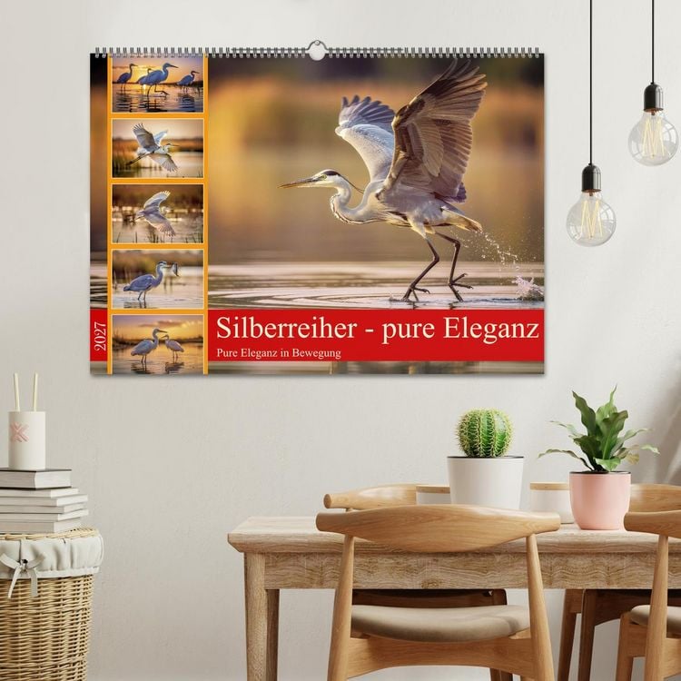 Produktbild: Silberreiher - pure Eleganz (Wandkalender 2027 DIN A2 quer), CALVENDO Monatskalender