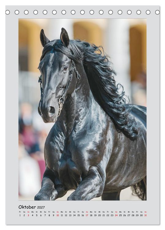Produktbild: Friesenpferde. Schwarze Eleganz in der Natur (Tischkalender 2027 DIN A5 hoch), CALVENDO Monatskalender