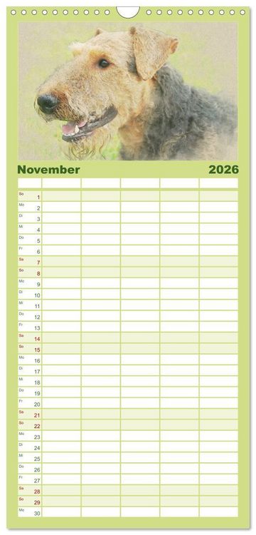 Produktbild: Familienplaner 2026 - Airedale Terrier 2026 mit 5 Spalten (Wandkalender, 21 x 45 cm) CALVENDO