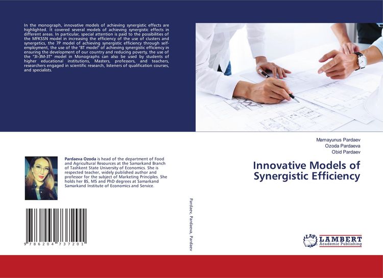 Produktbild: Innovative Models of Synergistic Efficiency