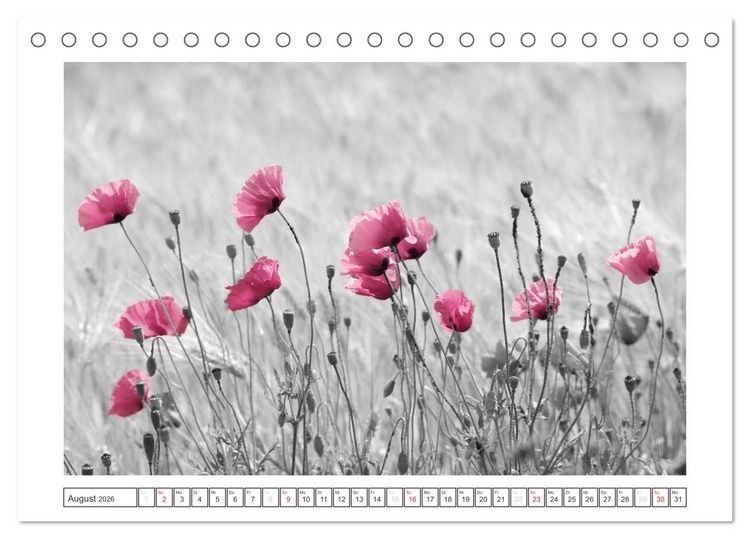 Produktbild: Natur schwarz - wei&szlig; Malerei (Tischkalender 2026 DIN A5 quer), CALVENDO Monatskalender