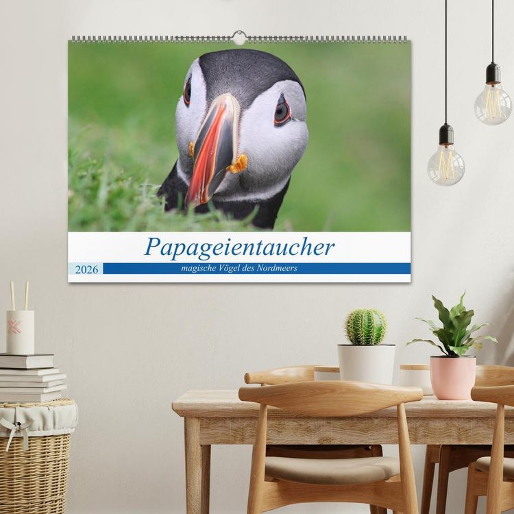 Produktbild: Papageientaucher 2026 - Magische V&ouml;gel des Nordmeers (Wandkalender 2026 DIN A2 quer), CALVENDO Monatskalender