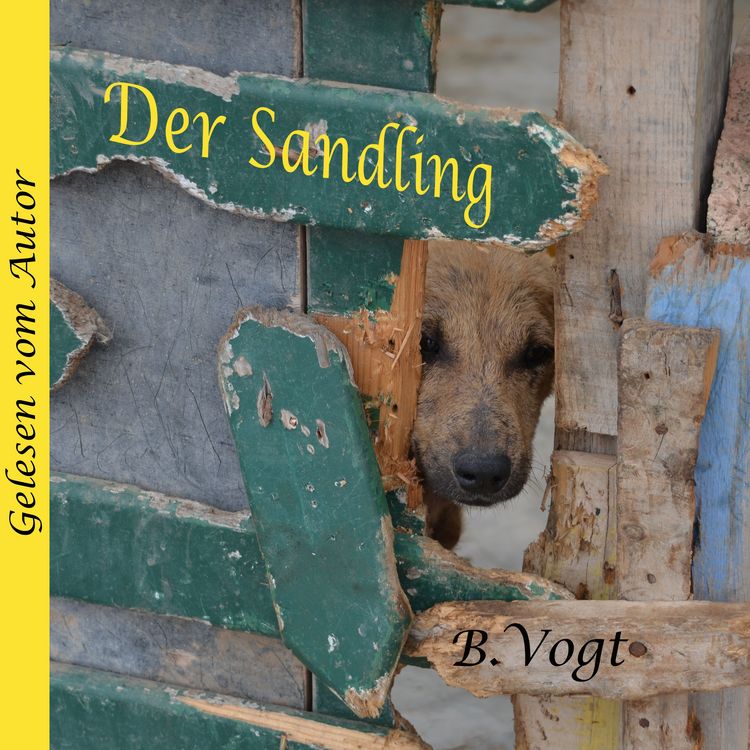 Produktbild: Der Sandling