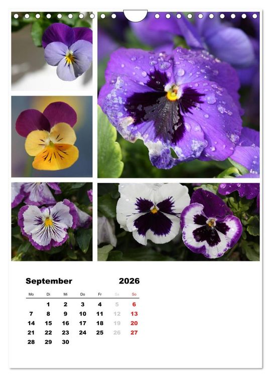 Produktbild: Bl&uuml;ten Collagen (Wandkalender 2026 DIN A4 hoch), CALVENDO Monatskalender
