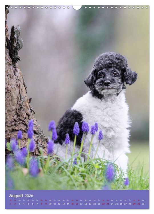 Produktbild: Flora Canidae - der Hunde-Bl&uuml;hpflanzen-Kalender (Wandkalender 2026 DIN A3 hoch), CALVENDO Monatskalender