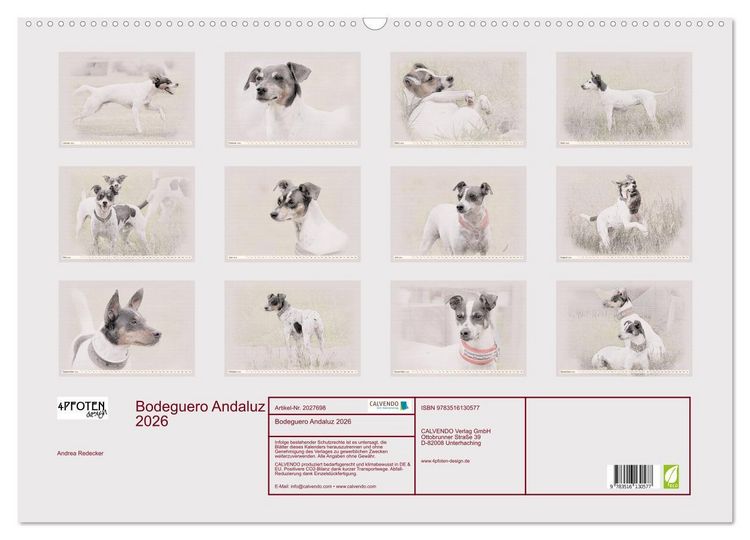 Produktbild: Bodeguero Andaluz 2026 (Wandkalender 2026 DIN A2 quer), CALVENDO Monatskalender