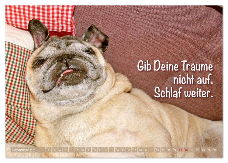 Produktbild: L&auml;cheln mit Mops (Tischkalender 2026 DIN A5 quer), CALVENDO Monatskalender