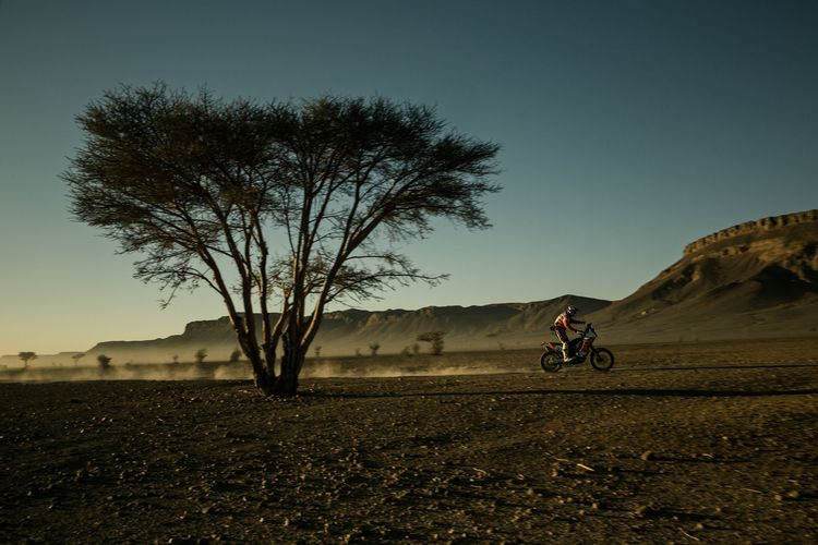 Africa Race - Zwei Brüder zwischen Paris und Dakar [2 DVDs]