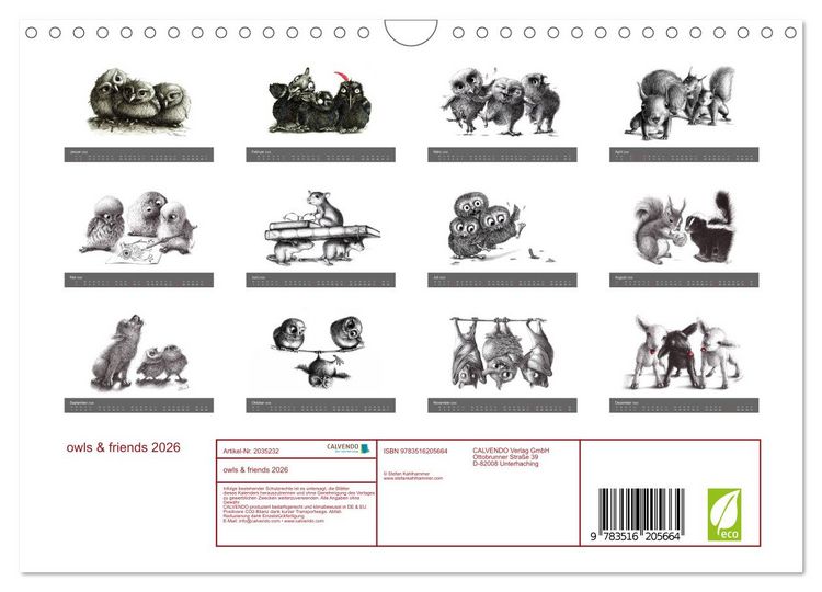 Produktbild: owls & friends 2026 (Wandkalender 2026 DIN A4 quer), CALVENDO Monatskalender