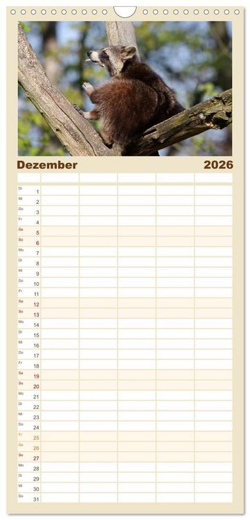 Produktbild: Familienplaner 2026 - Waschb&auml;ren mit 5 Spalten (Wandkalender, 21 x 45 cm) CALVENDO
