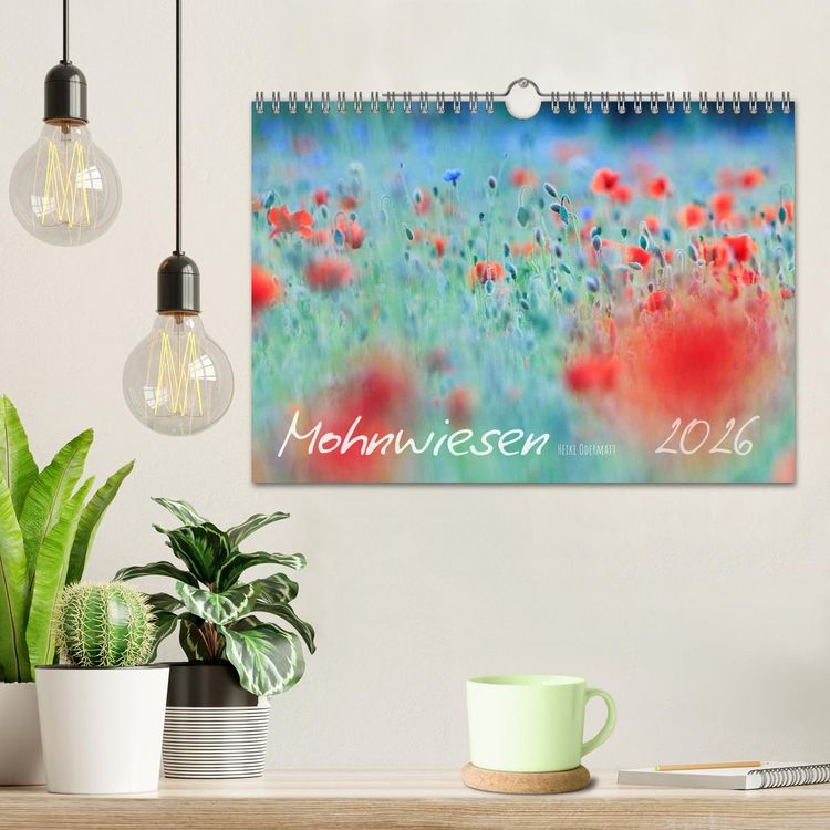 Produktbild: Mohnwiesen (Wandkalender 2026 DIN A4 quer), CALVENDO Monatskalender