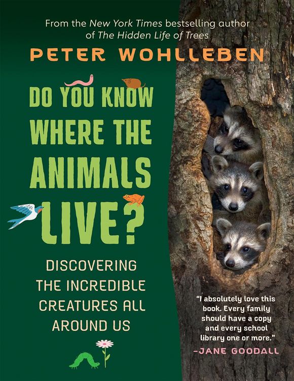 Produktbild: Do You Know Where the Animals Live?