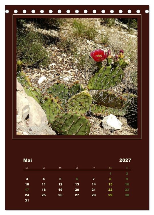 Produktbild: Wilde Kakteen Amerikas (Tischkalender 2027 DIN A5 hoch), CALVENDO Monatskalender
