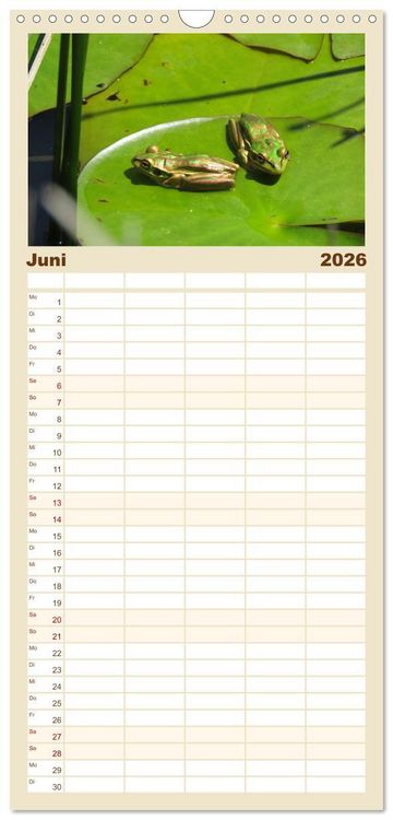 Produktbild: Familienplaner 2026 - Fr&ouml;sche - Die wundersch&ouml;ne Welt der bunten H&uuml;pfer. mit 5 Spalten (Wandkalender, 21 x 45 cm) CALVENDO