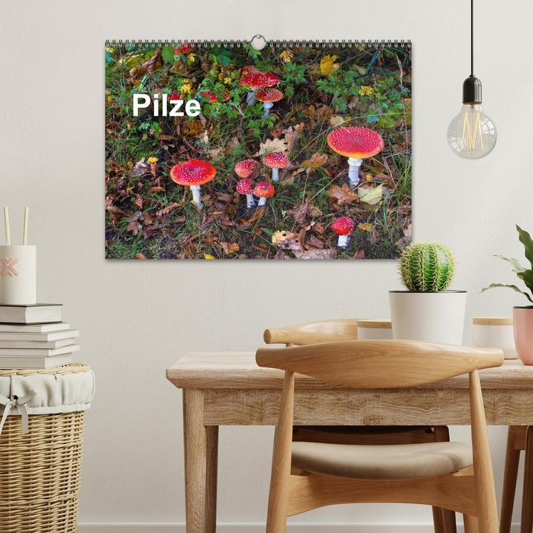 Produktbild: Pilze (Wandkalender 2026 DIN A3 quer), CALVENDO Monatskalender