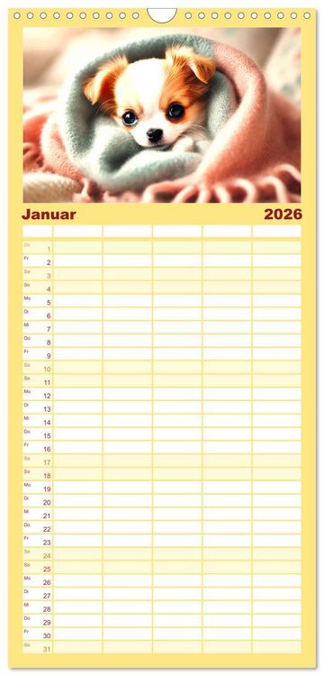 Produktbild: Familienplaner 2026 - Chihuahua-Welpen &ndash; Kleine Wunder mit 5 Spalten (Wandkalender, 21 x 45 cm) CALVENDO