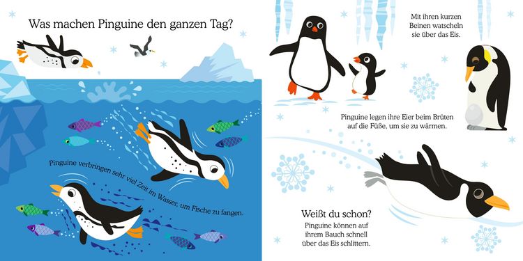 Produktbild: Gl&uuml;cksfisch: Wei&szlig;t du, was die Tiere machen? Kleiner Pinguin