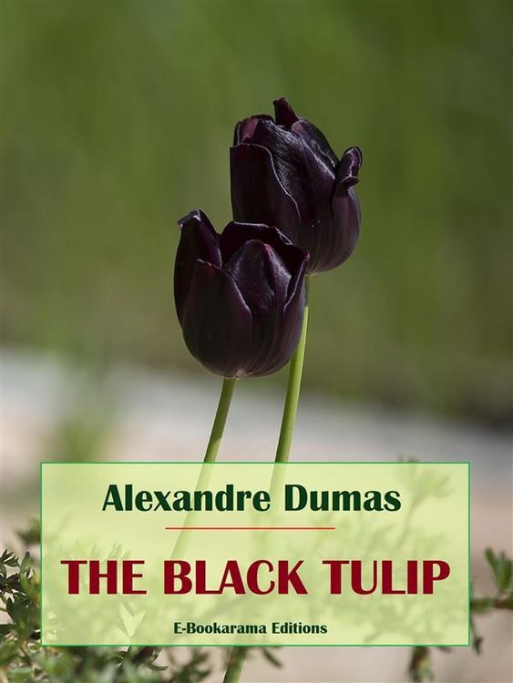Produktbild: The Black Tulip