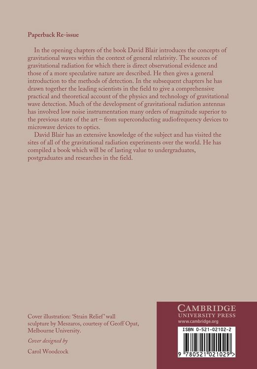 Produktbild: The Detection of Gravitational Waves