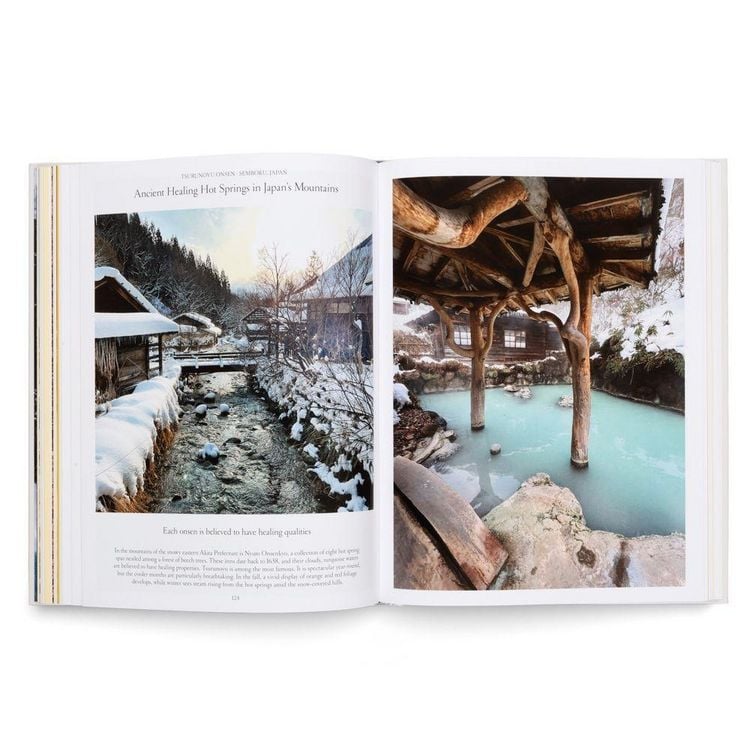 Produktbild: The Nature of Swimming (Updated Edition)