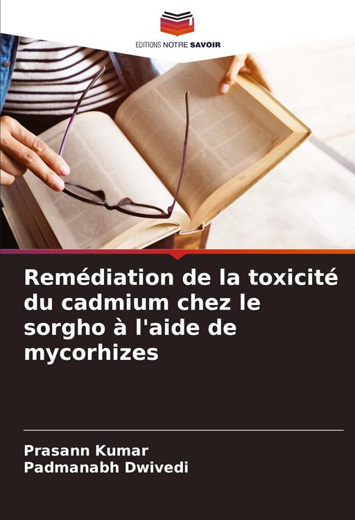 Produktbild: Rem&eacute;diation de la toxicit&eacute; du cadmium chez le sorgho &agrave; l'aide de mycorhizes