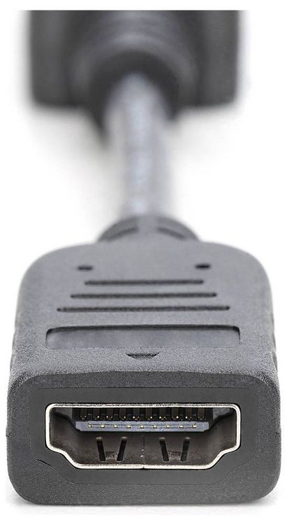Produktbild: Digitus AK-340400-001-S DisplayPort / HDMI Adapter [1x DisplayPort Stecker - 1x HDMI-Buchse] Schwarz 15.00 cm