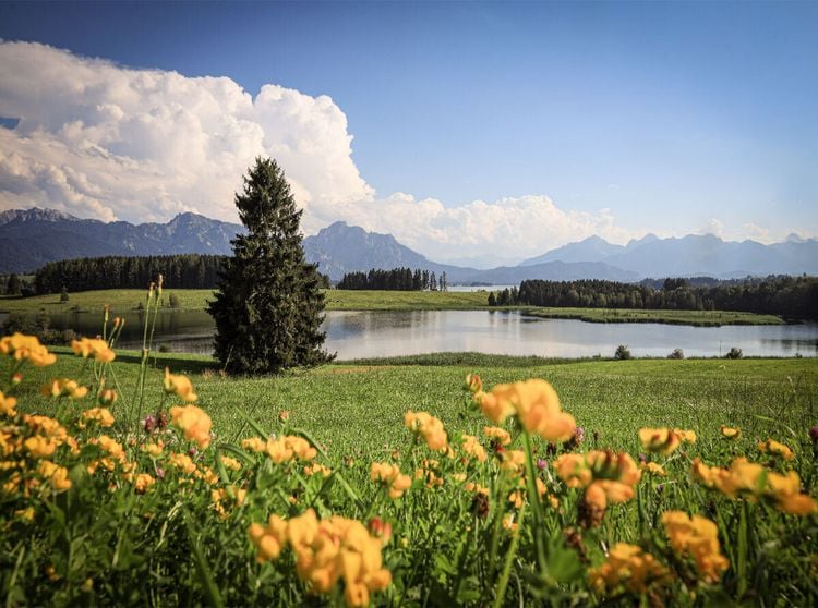 Produktbild: CALVENDO Puzzle Vilsalpsee | 2000 Teile Lege-Gr&ouml;&szlig;e 90x67cm Foto-Puzzle f&uuml;r gl&uuml;ckliche Stunden