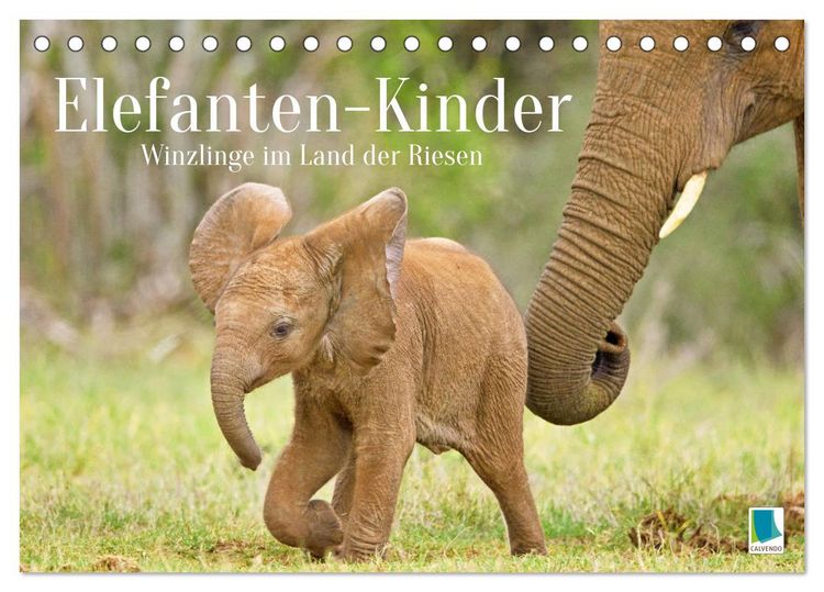 Produktbild: Elefantenkinder: Winzlinge im Land der Riesen (Tischkalender 2026 DIN A5 quer), CALVENDO Monatskalender