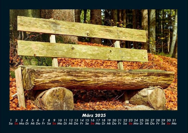 Produktbild: Waldzauber 2025 Fotokalender DIN A4