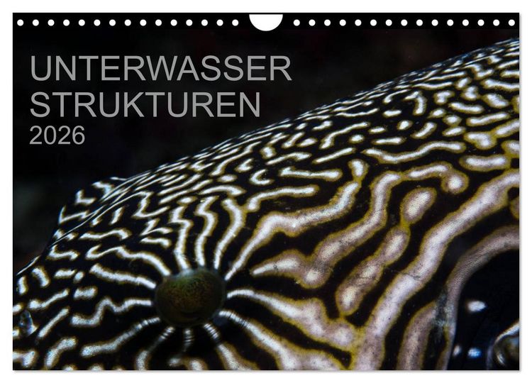Produktbild: Unterwasser Strukuren (Wandkalender 2026 DIN A4 quer), CALVENDO Monatskalender