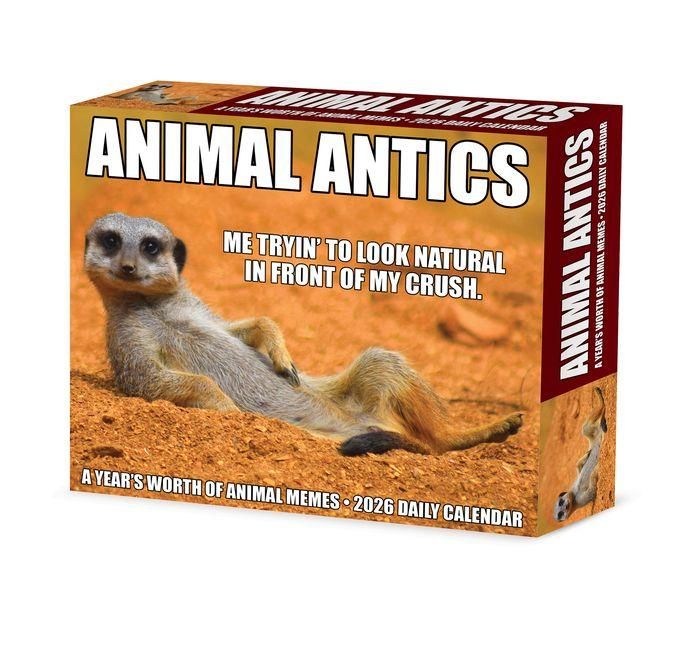 Produktbild: Animal Antics 2026 Box Calendar