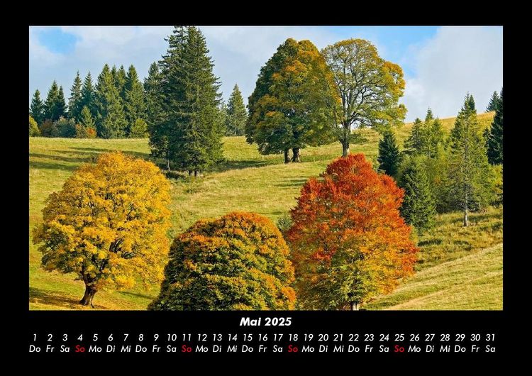 Produktbild: B&auml;ume 2025 Fotokalender DIN A3