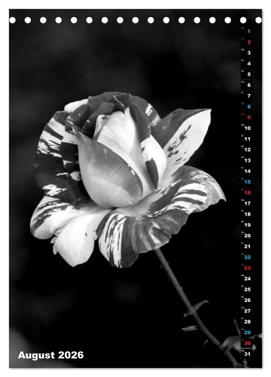 Produktbild: Blumige Graustufen - Schwarz und Wei&szlig; (Tischkalender 2026 DIN A5 hoch), CALVENDO Monatskalender