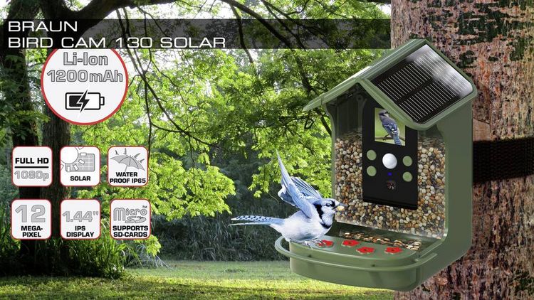 Produktbild: Braun Phototechnik Bird Cam 130 Solar Wildkamera mit Futterspender Gr&uuml;n