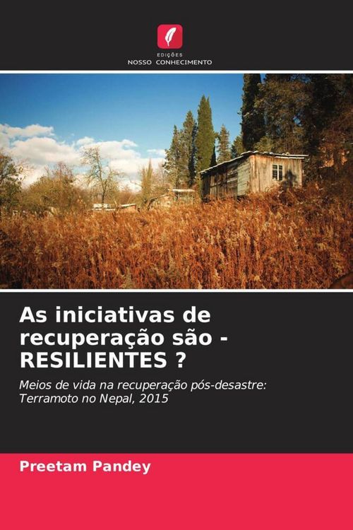Produktbild: As iniciativas de recupera&ccedil;&atilde;o s&atilde;o - RESILIENTES ?
