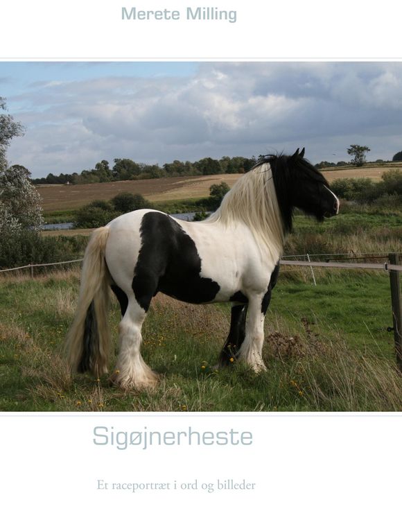 Produktbild: Sig&oslash;jnerheste