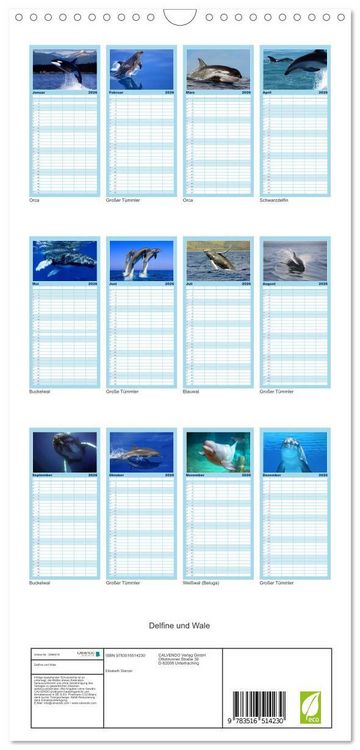 Produktbild: Familienplaner 2026 - Delfine und Wale mit 5 Spalten (Wandkalender, 21 x 45 cm) CALVENDO