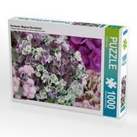 Produktbild: CALVENDO Puzzle Hortensie 'Magical Revolution' | 1000 Teile Lege-Gr&ouml;&szlig;e 64x48cm Foto-Puzzle f&uuml;r gl&uuml;ckliche Stunden
