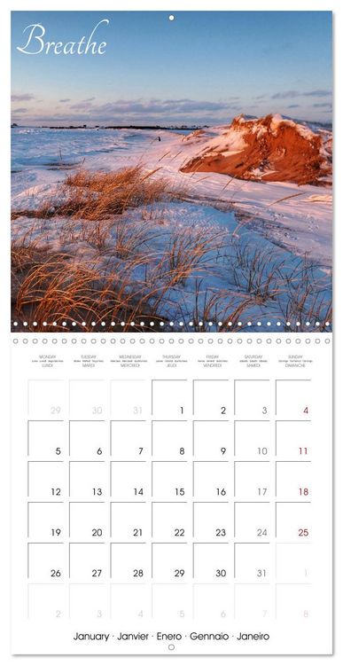 Produktbild: Relaxing Nature (Wall Calendar 2026 12 &times; 12 Inch) CALVENDO 12 Month Wall Calendar