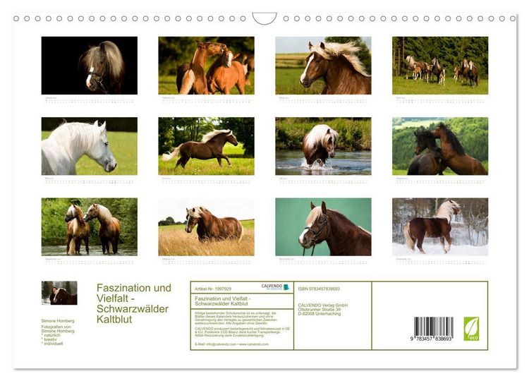 Produktbild: Faszination und Vielfalt - Schwarzw&auml;lder Kaltblut (Wandkalender 2026 DIN A3 quer), CALVENDO Monatskalender