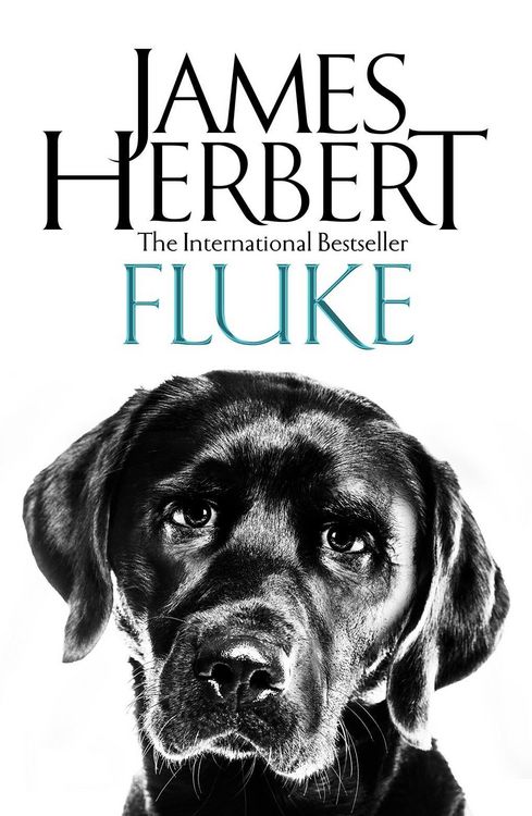 Produktbild: Fluke