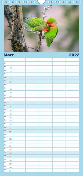 Produktbild: Papageien - Frech, sch&ouml;n und schlau - Familienplaner hoch (Wandkalender 2022 , 21 cm x 45 cm, hoch)