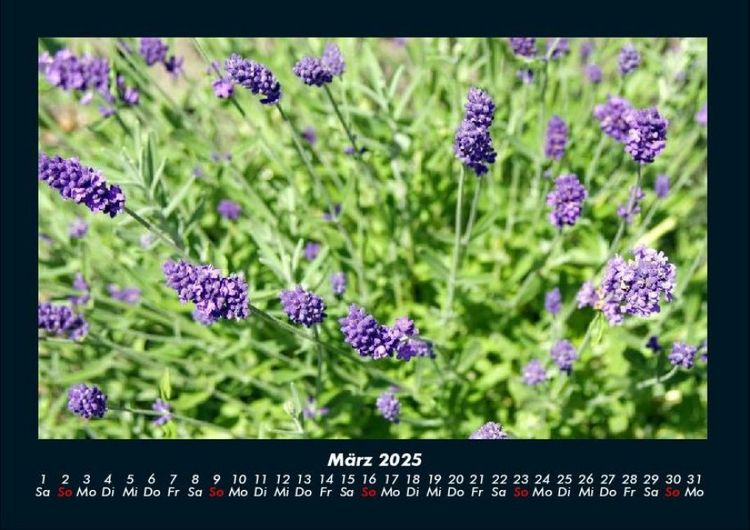 Produktbild: Blumentr&auml;ume 2025 Fotokalender DIN A4
