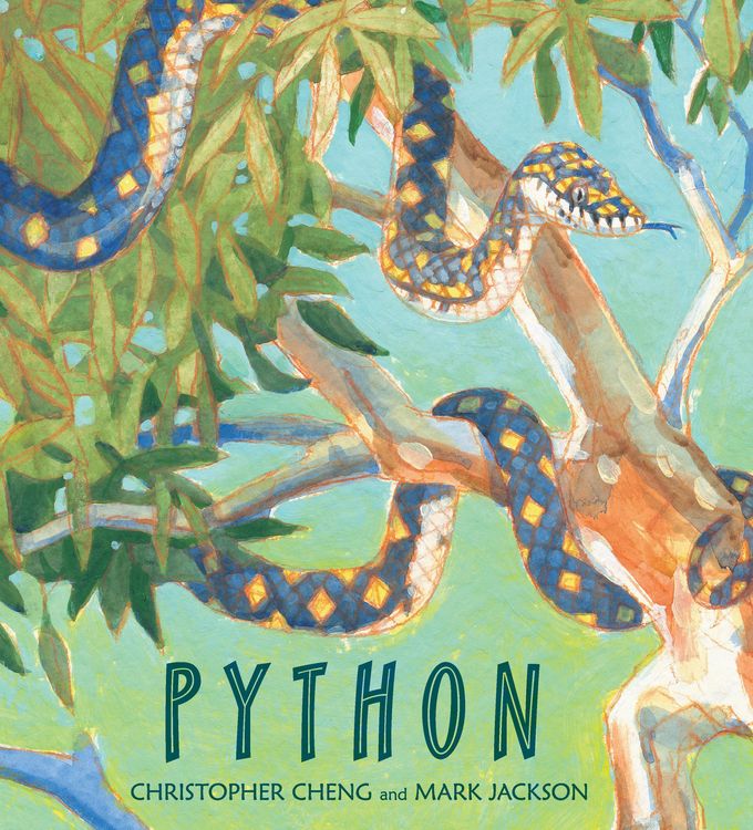 Produktbild: Python