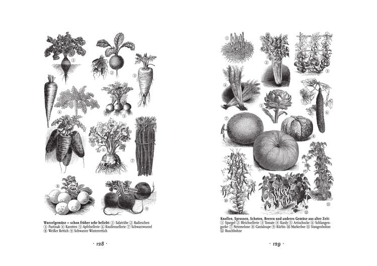Produktbild: Wunderwelt Biogarten. Gl&uuml;cklich und nachhaltig g&auml;rtnern - Monat f&uuml;r Monat