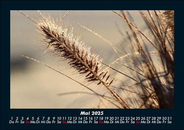 Produktbild: Natur 2025 Fotokalender DIN A5
