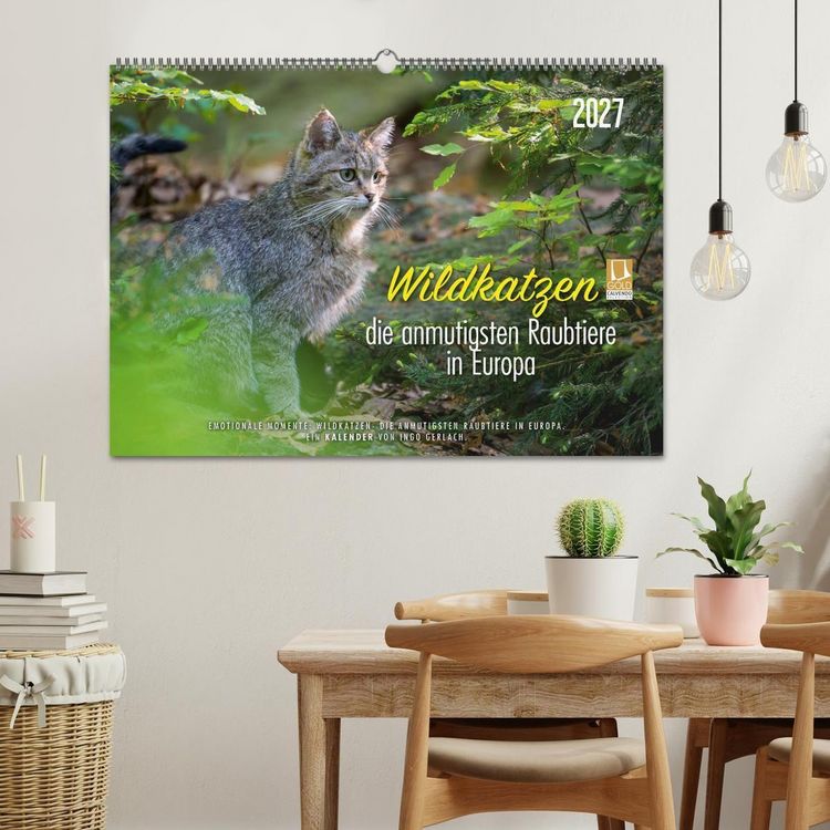 Produktbild: Wildkatzen - die anmutigsten Raubiere in Europa. (Wandkalender 2027 DIN A2 quer), CALVENDO Monatskalender